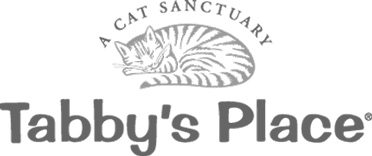 Tabby's Place